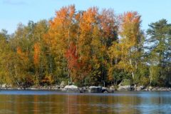 (Alexandra Bernhardt) Herbst