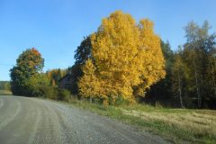 (G.Bernhardt) Herbst inPälkäne