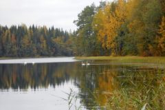 (Alexandra Bernhardt) Herbst bei Pälkäne