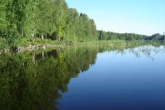 (G.Bernhardt) Ufer des Haapaselkä