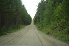 (G.Bernhardt) Waldweg bei Puumala