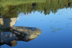 (G.Bernhardt) Haapaselkä