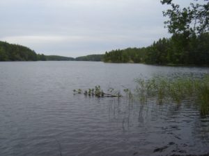 Seengebiet im Linnansaari Nationalpark